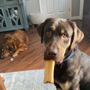 Meet your Posher, Brandy